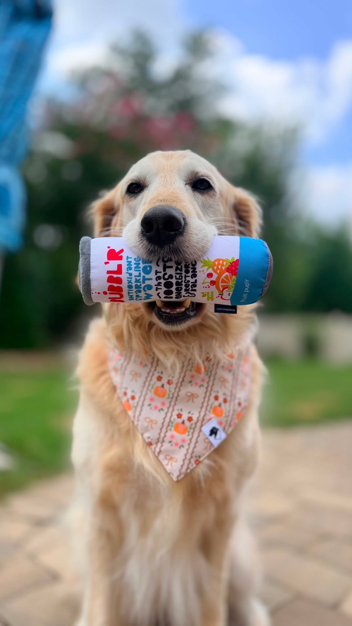 BUBBL'R squeaky dog toy - fruit pup'r
