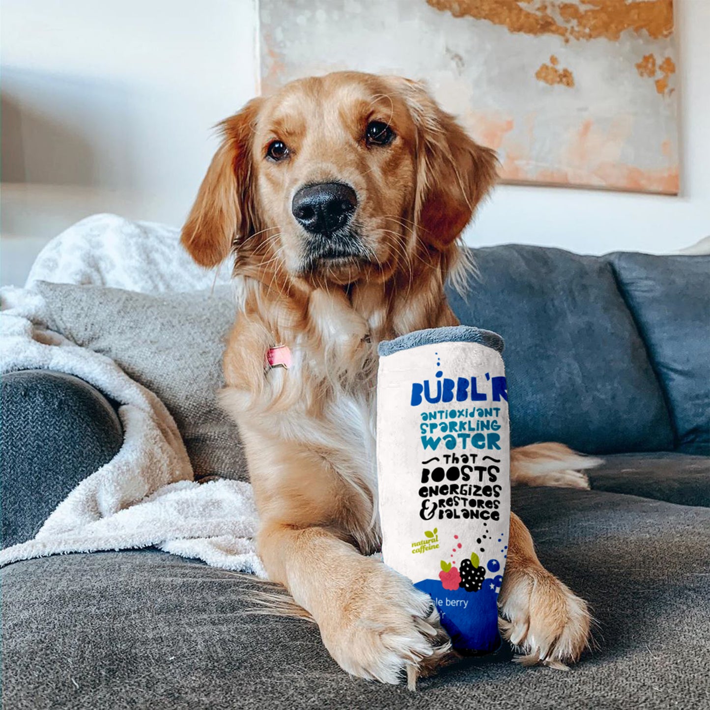 dog sat on couch holding plush dog toy shaped to look like triple berry bubbl'r can