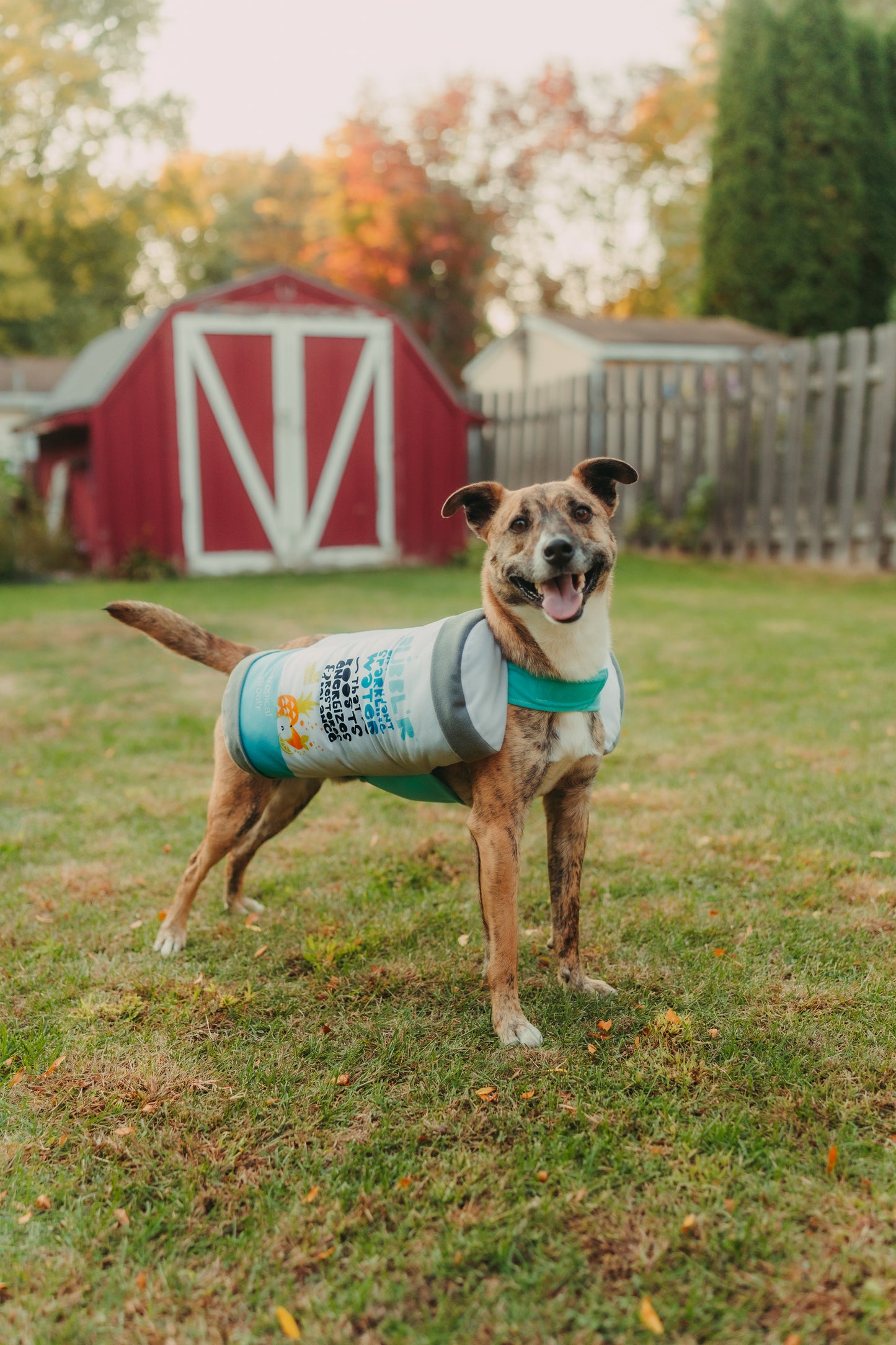 BUBBL'R dog can costume - tropical drool'r