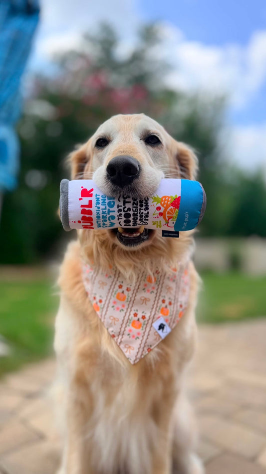 BUBBL'R squeaky dog toy - fruit pup'r